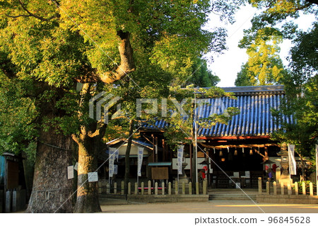 向橋總社豐中市 96845628