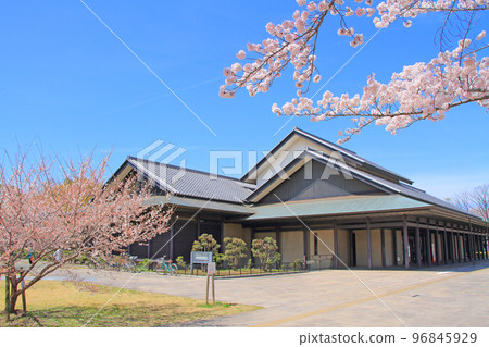 Scenery of Nagoya City, Nagoya Nogakudo and cherry blossoms in full bloom Scenery of Nagoya City, Nagoya Nogakudo and cherry blossoms in full bloom 96845929