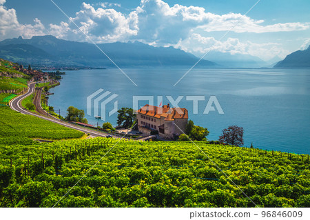 Vineyards and lakeside house on lake Geneva, Rivaz, Switzerland 96846009