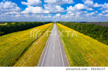 aerial photography of a straight road that goes over the horizon 96846247