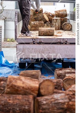 A man unloading cut logs for a wood stove from the bed of a truck A man unloading cut logs for a wood stove from the bed of a truck 96846388