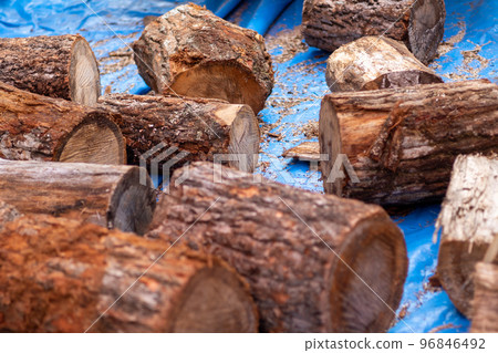 logs for wood stove 96846492