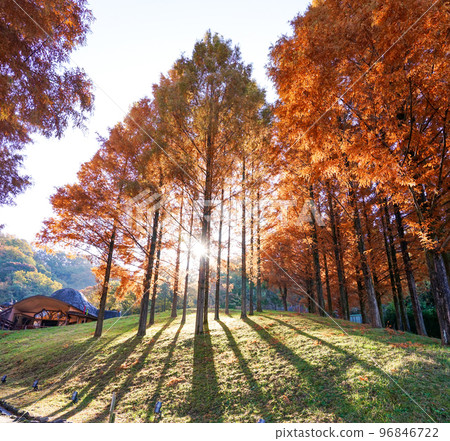 Autumn in Moominvalley Tove Jansson Akebono Children's Forest Park Autumn in Moominvalley Tove Jansson Akebono Children's Forest Park 96846722