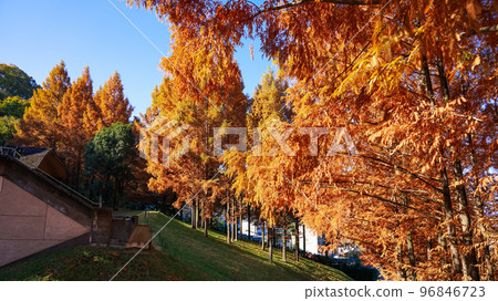 Autumn in Moominvalley Tove Jansson Akebono Children's Forest Park 96846723