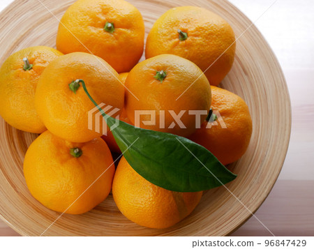 蜜柑【帶葉子】 蜜柑【帶葉子】 96847429