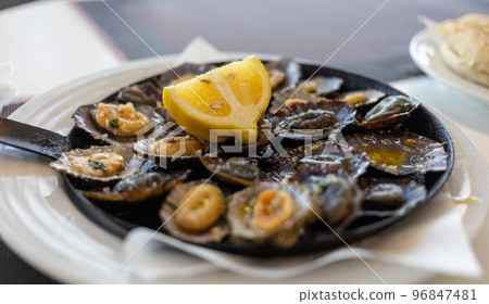 limpets sea fruits grilled on rustic frying pan limpets sea fruits grilled on rustic frying pan 96847481