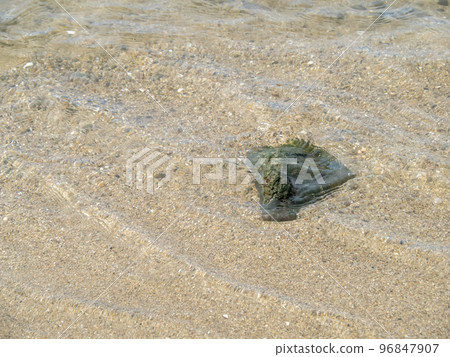 A calm beach. A calm beach. 96847907