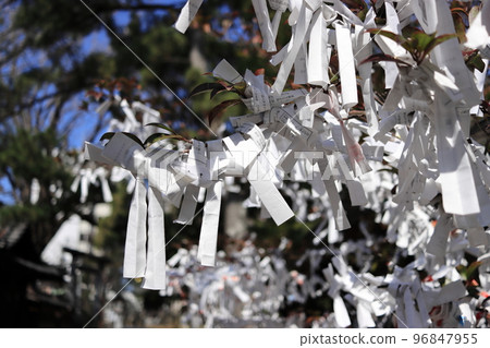 神簽掛(千葉縣船橋市乙飛神社) 神簽掛(千葉縣船橋市乙飛神社) 96847955