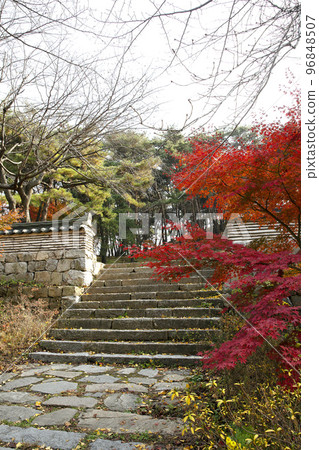 autumn temple scenery autumn temple scenery 96848507
