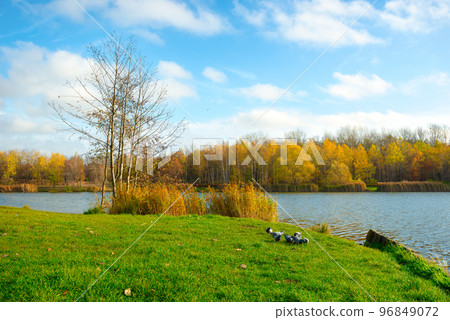 Katowice in autumn 96849072