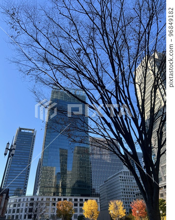 東京：晴天丸之內附近的建築物/秋天（秋葉）/東京的建築物 96849182