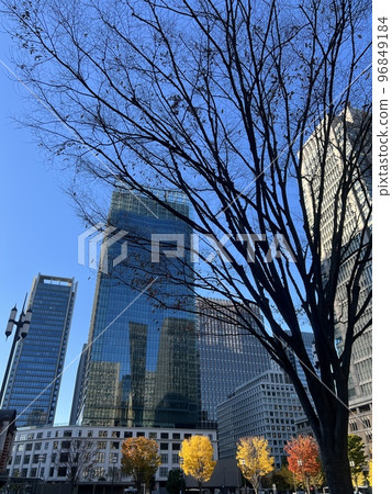 東京：晴天丸之內附近的建築物/秋天（秋葉）/東京的建築物 96849184