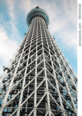 查尋東京天空的樹 查尋東京天空的樹 96849388
