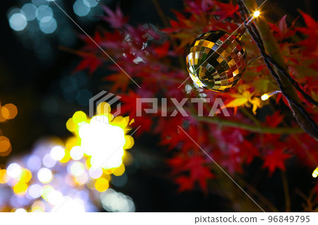 Autumn leaves and Christmas tree 96849795