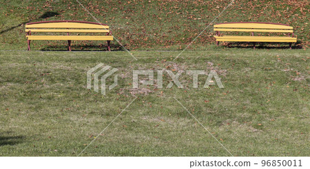 Benches installed in the park for recreation Benches installed in the park for recreation 96850011