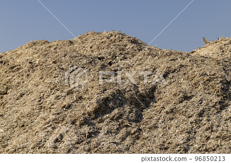 A huge pile of sawdust at a woodworking company A huge pile of sawdust at a woodworking company 96850213