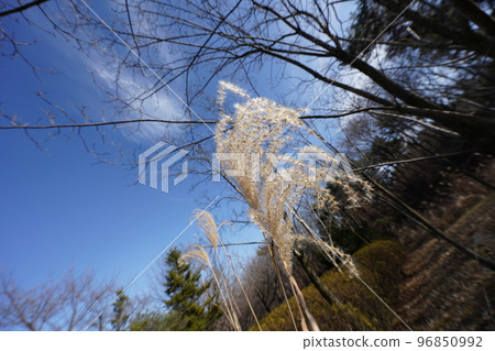 韓國松峰公園景觀（利川） 96850992