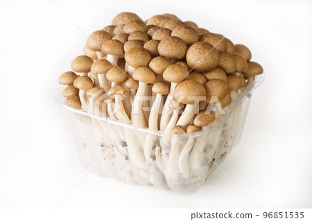 Bunashimeji, brown beech mushroom in container isolated on white background Horizontal 96851535
