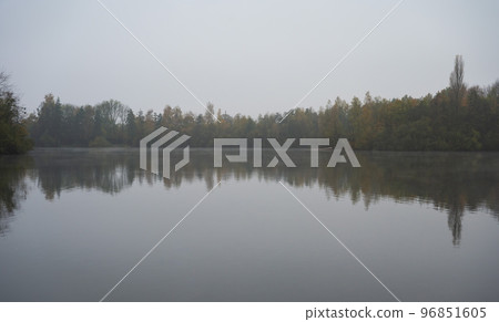 Trees reflecting in a foggy water pond around Zemst, Belgium 96851605