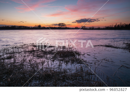 Grass in a frozen lake and a colorful sunset Grass in a frozen lake and a colorful sunset 96852827