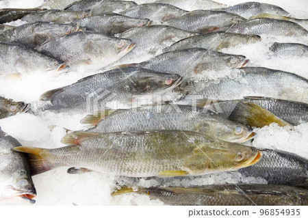 Fresh fish Fresh fish 96854935