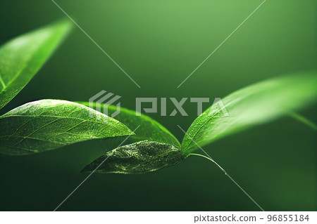 Green leaf background close up view. Nature foliage abstract. Beautifule leave texture. 96855184