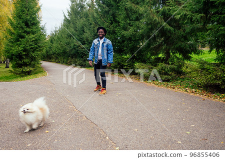 african american man walking in street with his fluffy spitz,teaching education dog teams 96855406