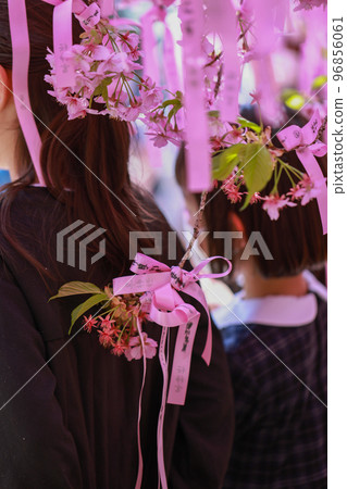 The back of a girl in a commemorative photo, Sakura Jingu, cherry blossoms in full bloom 96856061