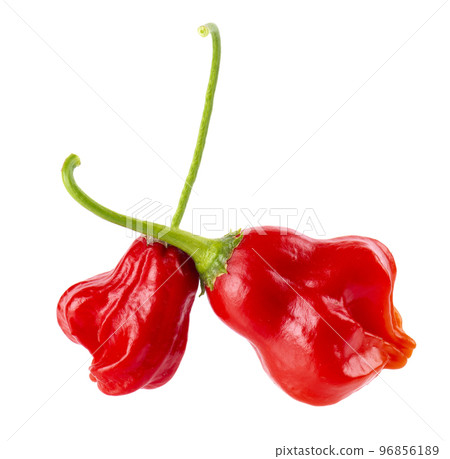 Ripe red chili peppers isolated on a white background. Capsicum baccatum or Bishop's crown pepper. 96856189
