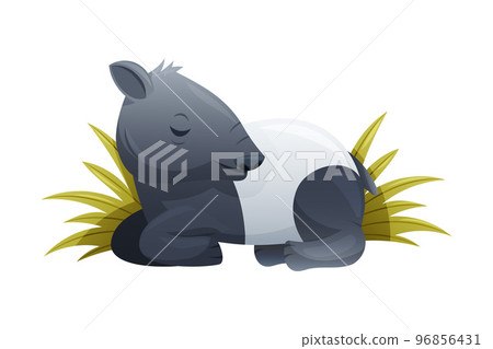 Cute Malayan Tapir Sleeping in Grass as Asian Animal with White Patch and Short Nose Trunk Vector Illustration 96856431