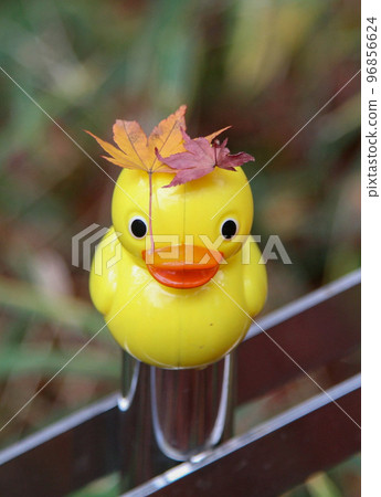 A duck in the mountains Ahiru-chan with autumn leaves hair ornament A duck in the mountains Ahiru-chan with autumn leaves hair ornament 96856624