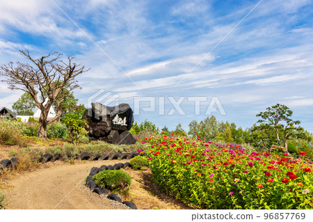 美瑛（九月，北海道，晴天） 96857769