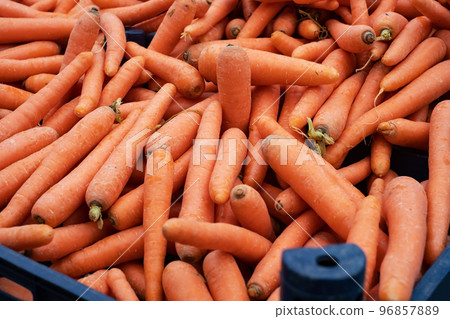 Organic carrots at a local farmers' market in Fethiye, Turkeye Organic carrots at a local farmers' market in Fethiye, Turkeye 96857889