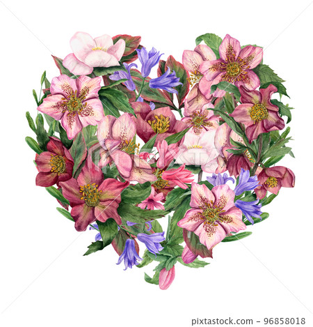 Heart shape of hellebores and hyacinth. Hand drawn watercolor illustration. Floral romantic illustration for Valentines day, mothers day cards. 96858018