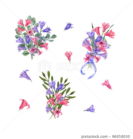 Set of watercolor botanical illustration of Hyacinth. Hyacinth isolated on a white background. Watercolor elements for Valentine day, wedding invitation, birthday and mother day cards, prints  96858030