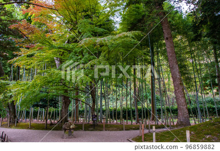 National Historic Site/Scenic Beauty Yubikan Circuit-style Pond Garden Bamboo Grove National Historic Site/Scenic Beauty Yubikan Circuit-style Pond Garden Bamboo Grove 96859882