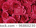 Flowers toned in magenta colour 96860230