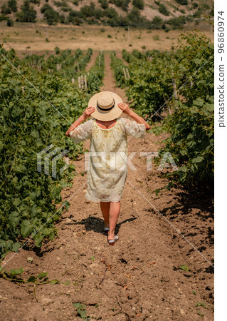 a young beautiful girl in a white dress and hat is walking through a vineyard a young beautiful girl in a white dress and hat is walking through a vineyard 96860974
