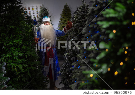 Russian Santa Claus with a staff in a store of artificial Christmas trees.  96860976