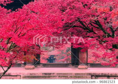 染成深紅色的南禪寺三門_8062 96861523