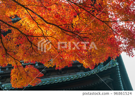 南禪寺三門的紅葉_1861 96861524