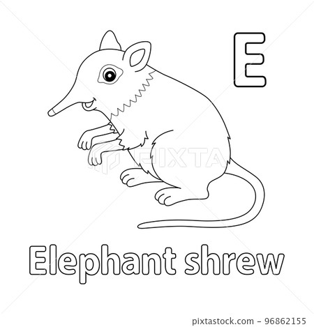 Elephant Shrew Alphabet ABC Isolated Coloring E Elephant Shrew Alphabet ABC Isolated Coloring E 96862155