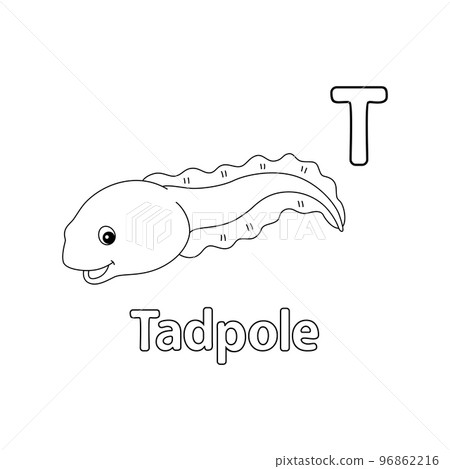 Tadpole Animal Alphabet ABC Isolated Coloring T 96862216