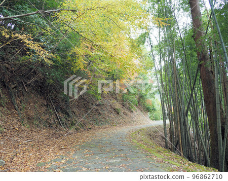 熊本縣八代市泉町柿坂 熊本縣八代市泉町柿坂 96862710