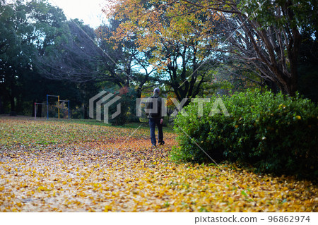 一位老人在秋季公園散步的樣子和美麗的銀杏落葉風景 96862974