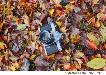 秋季銀杏落葉與膠卷相機狀態 96862978