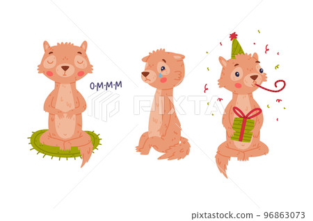 Cute Little Xerus Character with Pretty Snout Meditating, Crying and Blowing Whistle Vector Set Cute Little Xerus Character with Pretty Snout Meditating, Crying and Blowing Whistle Vector Set 96863073