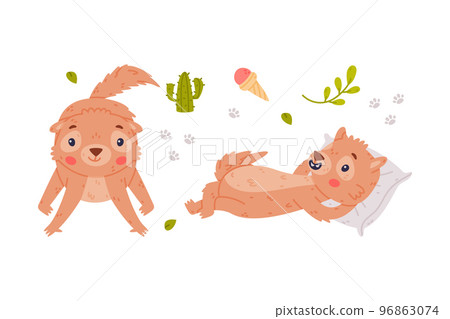 Cute Little Xerus Character with Pretty Snout Lying on Pillow and Standing Vector Set Cute Little Xerus Character with Pretty Snout Lying on Pillow and Standing Vector Set 96863074