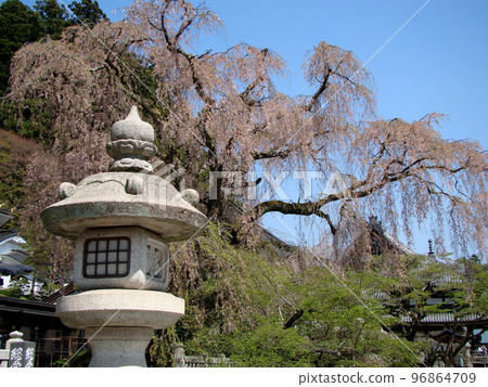 Minobusankuonji Minobusankuonji 96864709