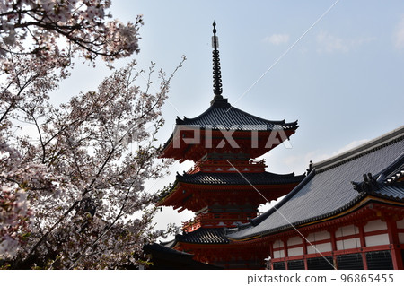 日本京都府京都市春季的清水寺院內櫻花盛開，三層寶塔被指定為重要文化財產 96865455